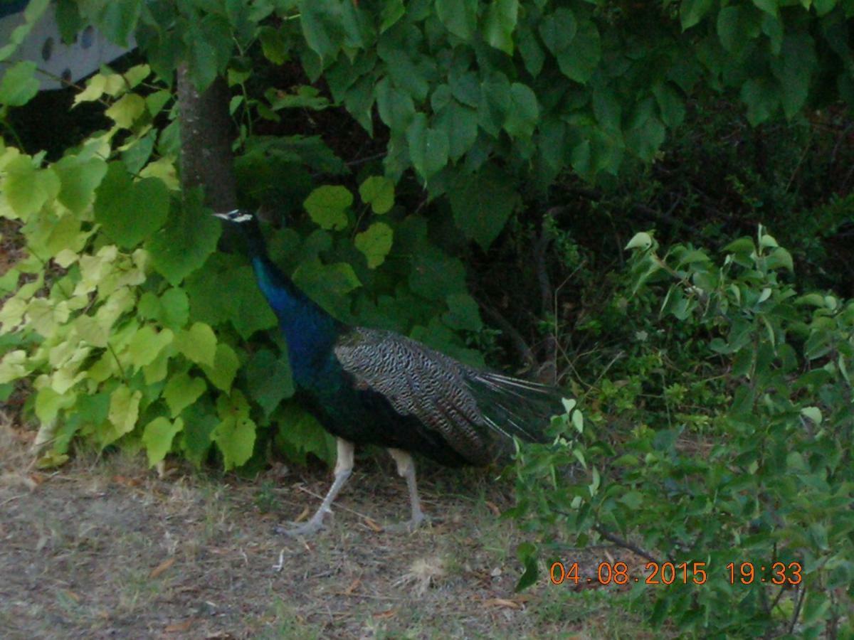 Peacock Villa Upper Epanomí Eksteriør bilde